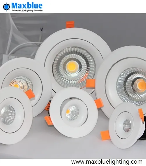 LED Downlight View 1