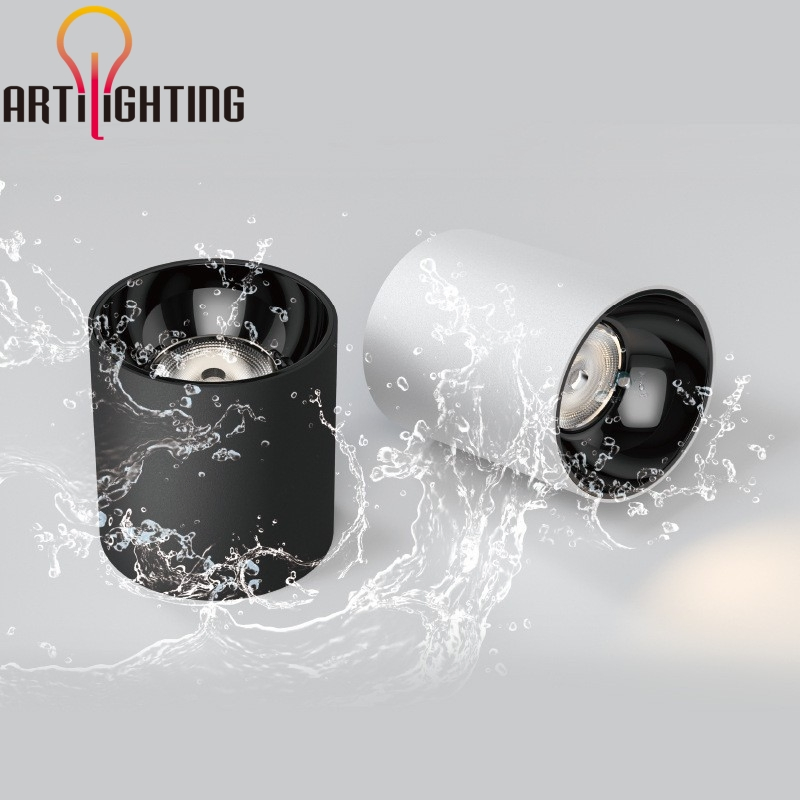 Outdoor Surface Mounted Ceiling Light Round IP65 Waterproof Luminaires LED Downlight
