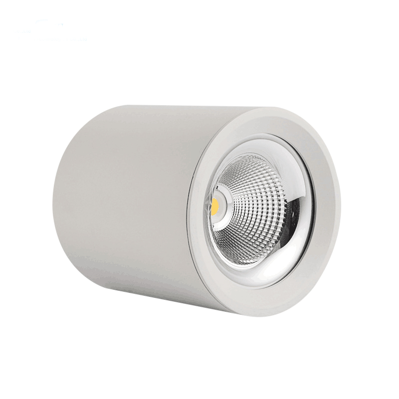 3 Years Warranty Anti-Glare Round Surface Mounted or Suspended Pendent LED Down Light for Clothing Shop Corridor Commercial Buildings