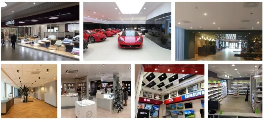 Commercial Project Display