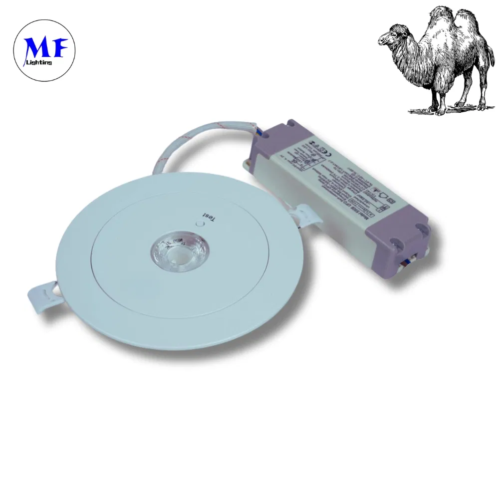 16+ Years Factory 3h IP65 Battery Backup Rechargeable Public School Hospital Shopping Workshop Mall Down Light Panic Emergency Escape Exit Sign Light