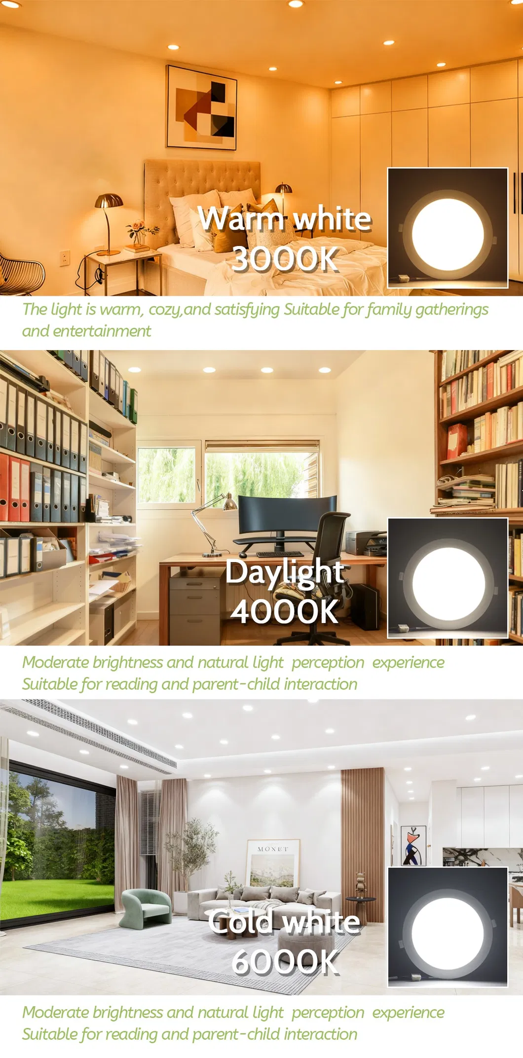LED Downlight Specs