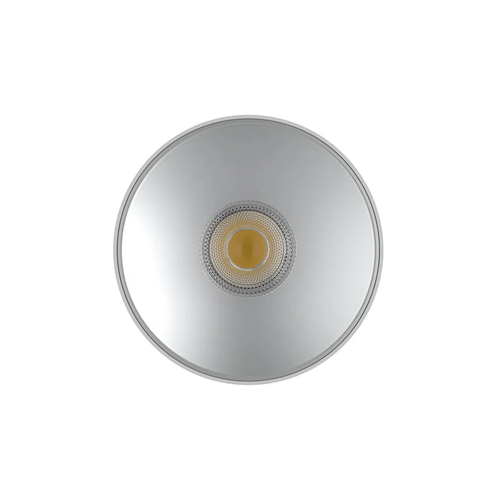 Factory Direct High Quality COB Surface Mounted LED Downlight 18W, CRI>92 Angle: 15/24/36/60 Degree, Aluminum House D95*H95mm