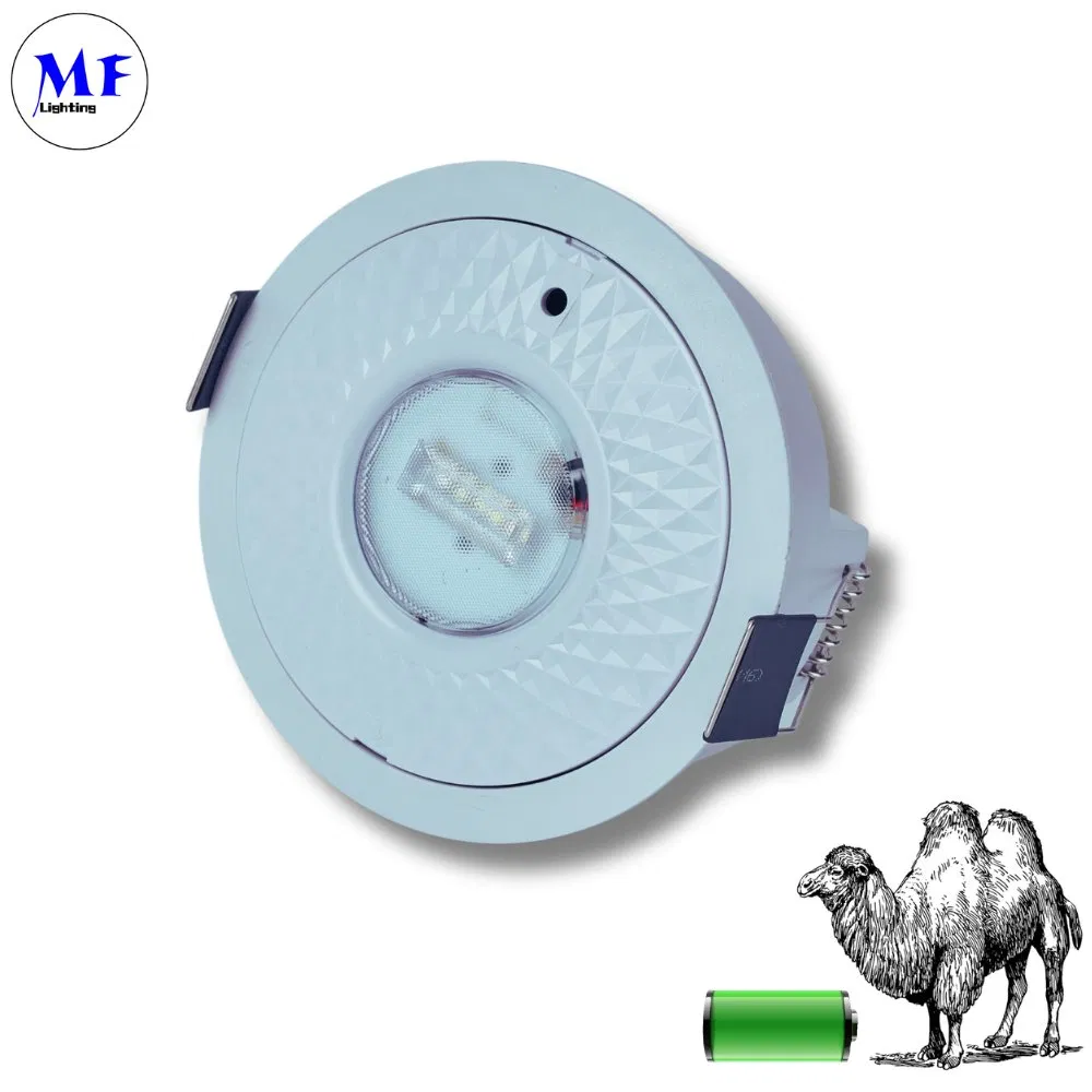 Factory Price 8W ABS Flame Retardant Anti-Glare IP30 Backup Surface Recessed Mounting Emergency Spotlight Ceiling LED Emergency Down Light for School Hospital
