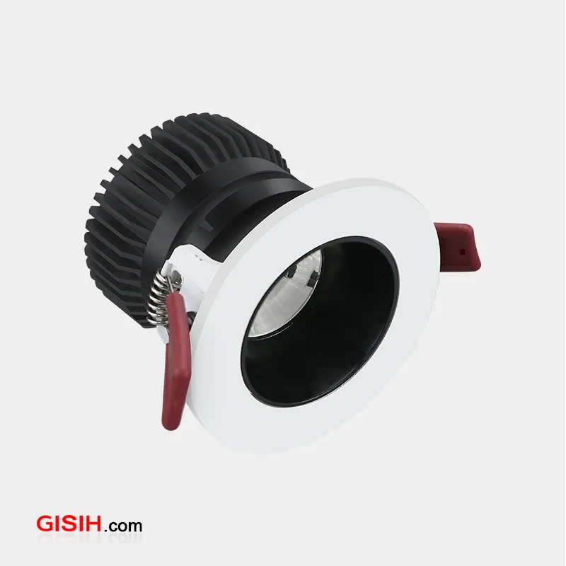Adjustable Downlight