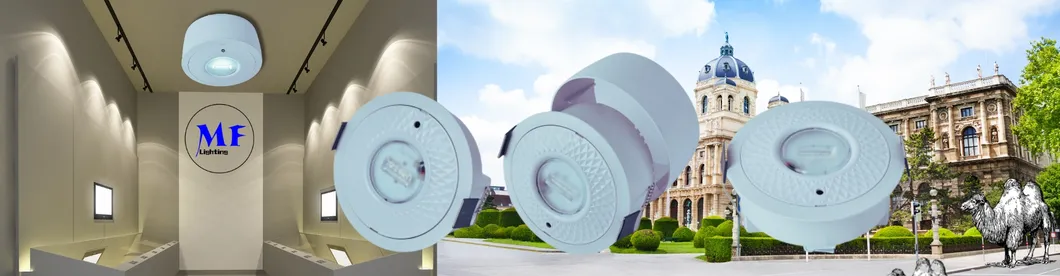 Emergency Down Light Overview