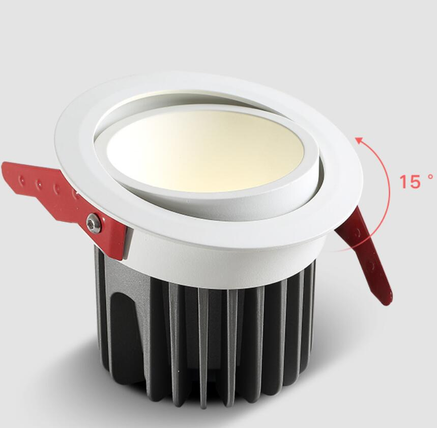 IP65 Waterproof and Anti-Fog Embedded Adjustable Angle Downlight/Spotlight