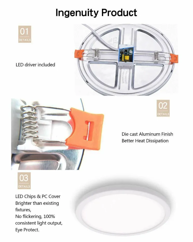 LED Downlight View 4