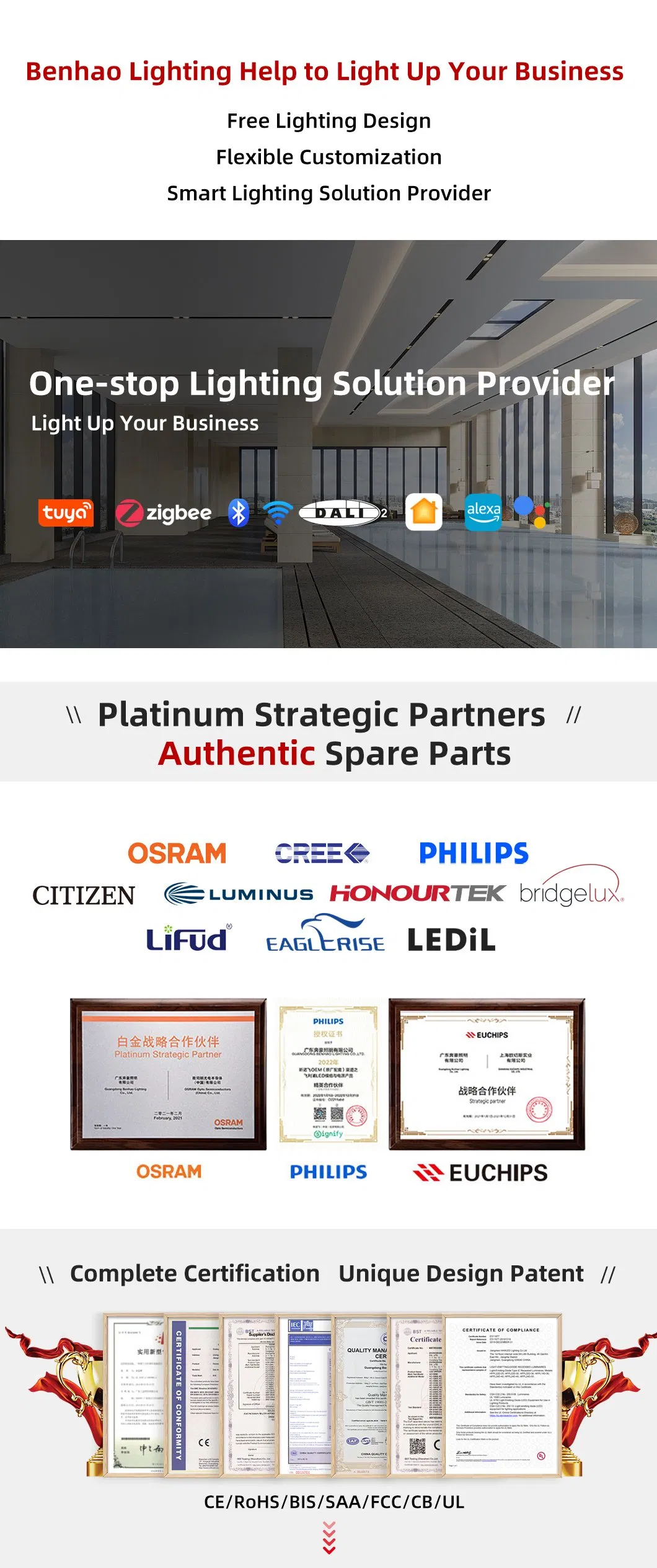 LED Downlight Overview