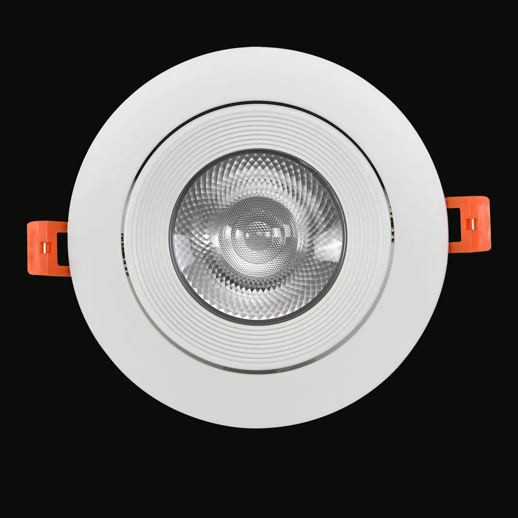 LED Down Light View 1