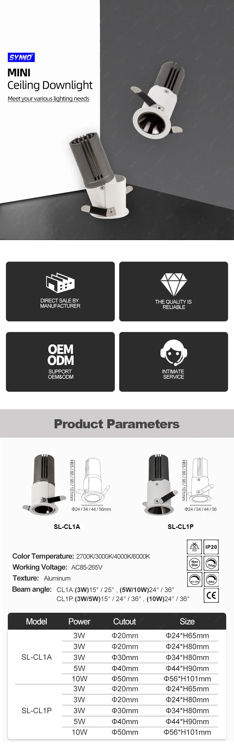 LED Downlight Detail 1