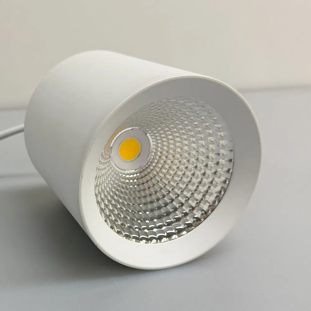 Surface Mounted Cylinder Down Light 10W 20W 30W LED Downlight for Home Office Living Room