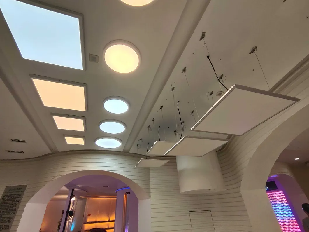 LED Downlight View 6