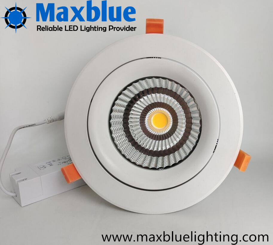 High Brightness Dimmable LED Downlight for Residential and Commercial