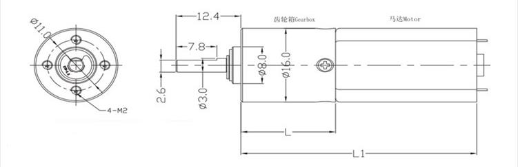 Chinese Supplier High Torque16mm DC Motor High Precision 2800rpm DC Motor Mini Motor 12 Volt