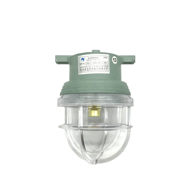 CCD5-2 24V 25W B15d Plastic Waterproof Marine Incandescent Outdoor Pendant Light