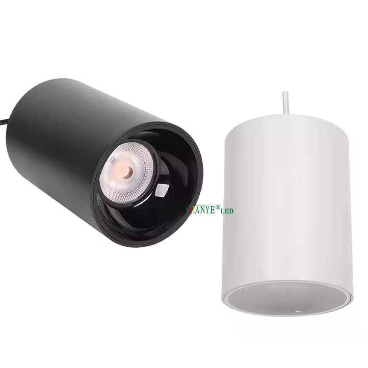 3w to 150w Ceiling Dmx512 RDM Dimming Suspended Mounted Decorative Fixtures Ip65 Outdoor Modern Led Pendant Light