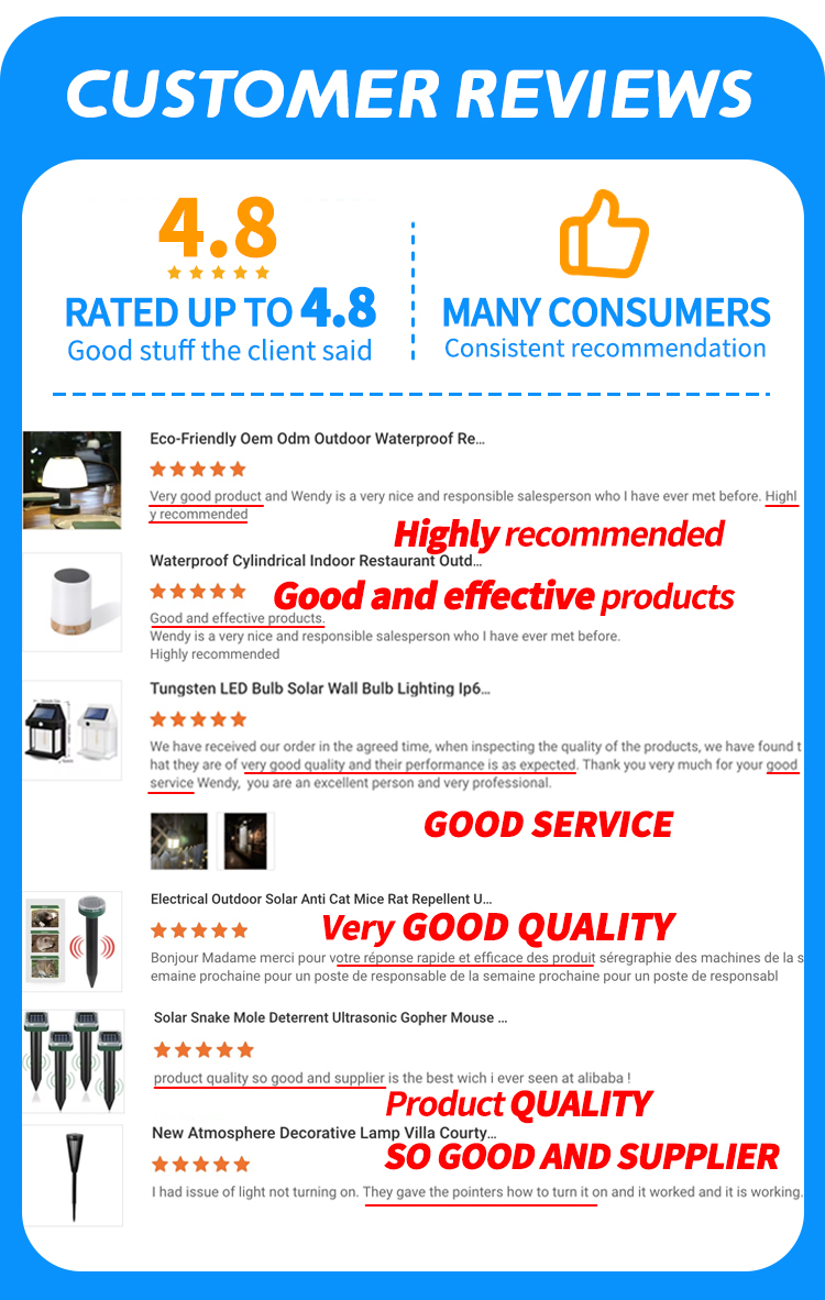 Customer Reviews
