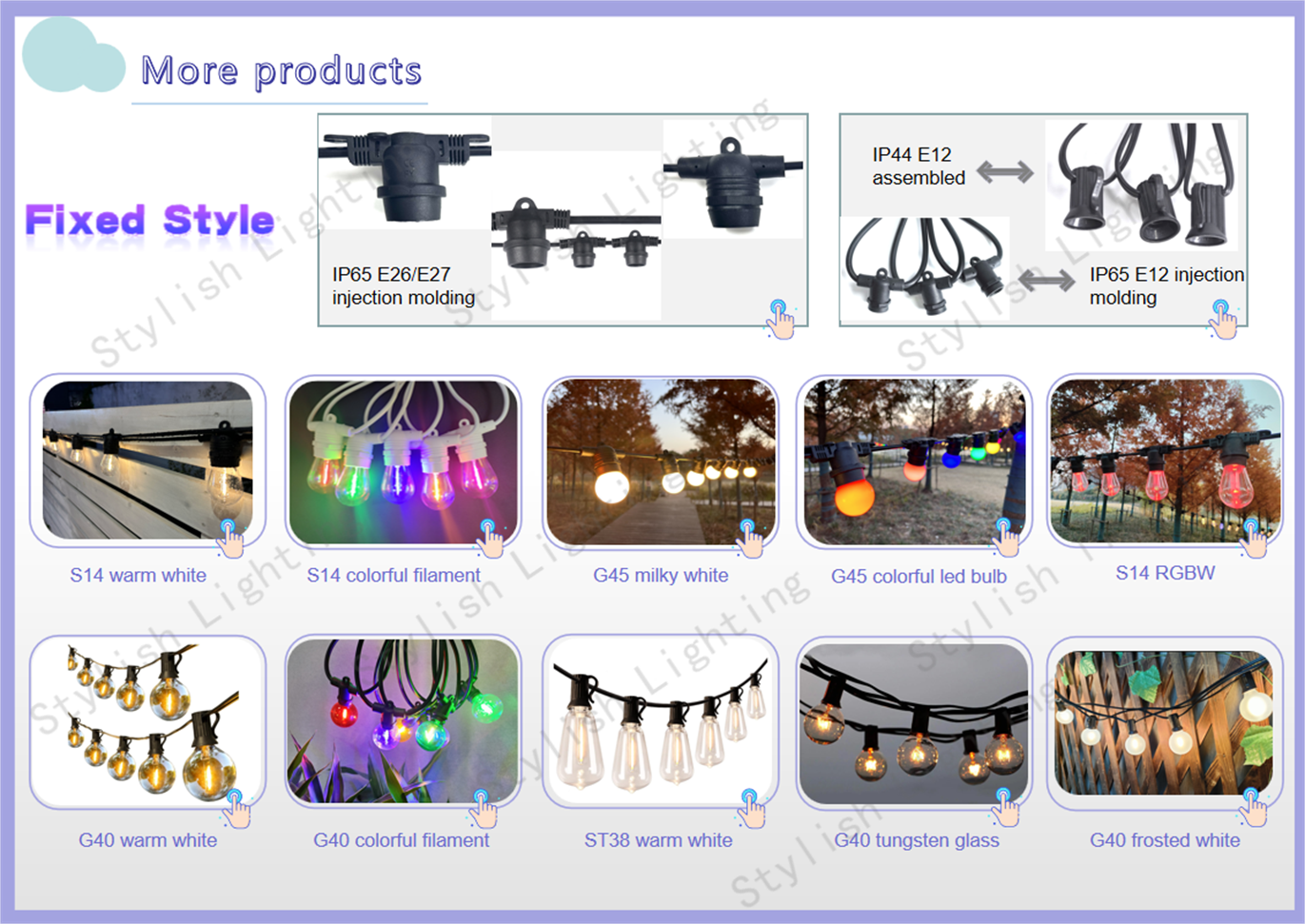 Product Catalog Showcase