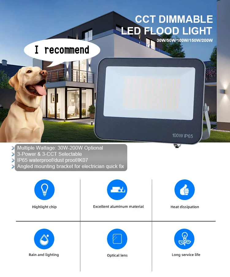Security Halogen Motion Sensor Outdoor LED Marine Flood Light