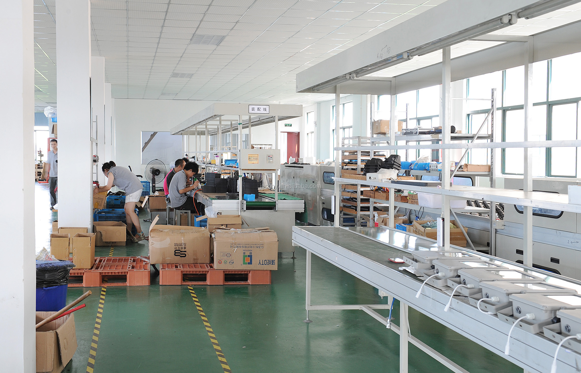 Testing & Packing