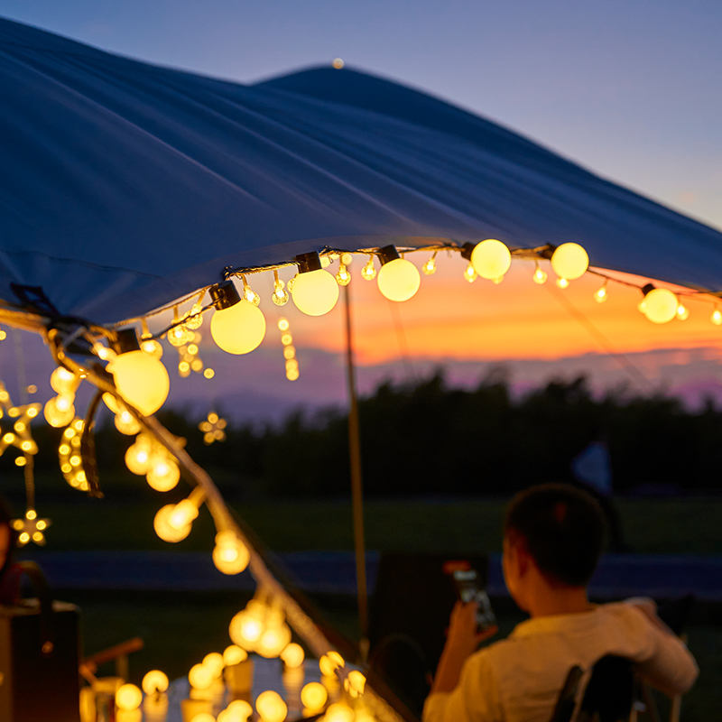 Globe LED String Lights Milky Dancing Festoon Light Indoor/Outdoor IP67 PVC &amp; Copper Material Commercial 5M Parties Warm White