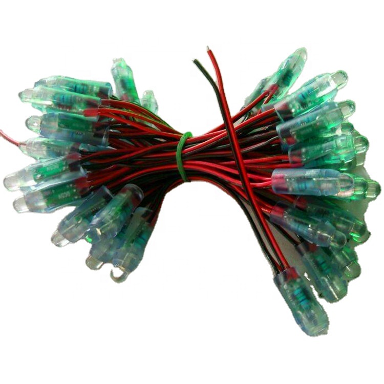 Carnival Wholesale Outdoor Fancy Festoon Garden Global White Color Led 5V 12mm Ferry Lights Led Christmas String Light