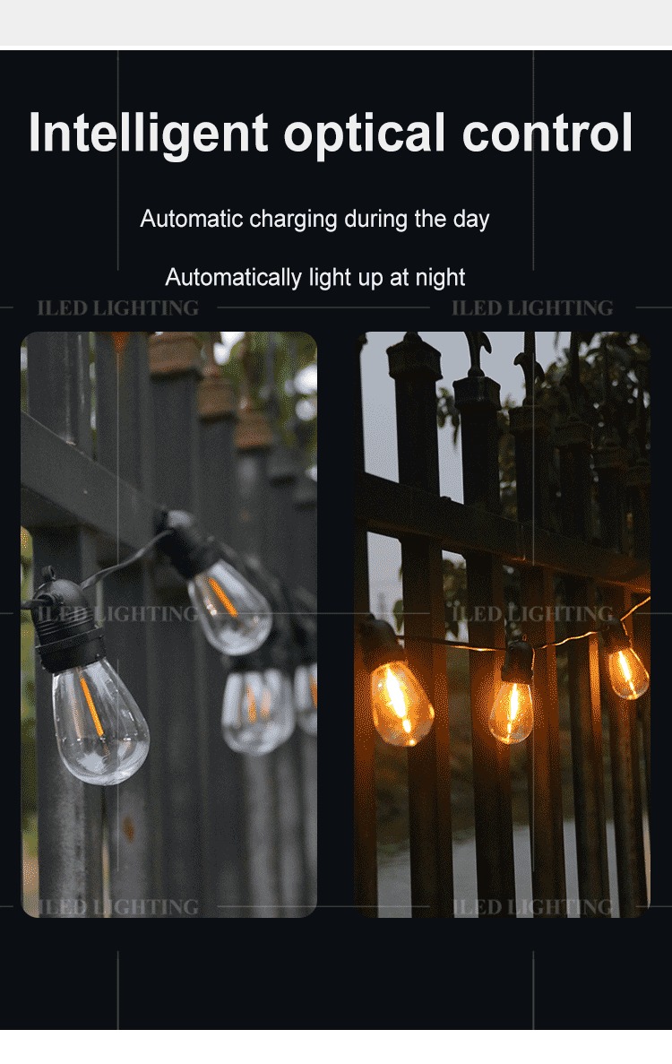 LED Festoon Light Detail 3