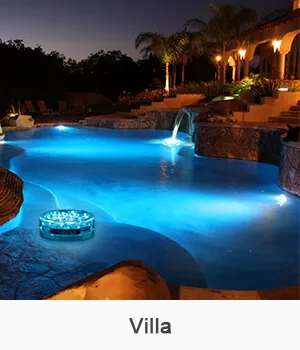 Event Centerpiece Application 1