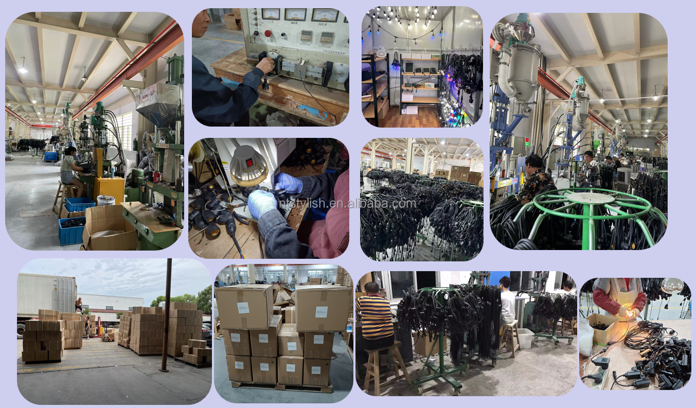 Company Operation Overview