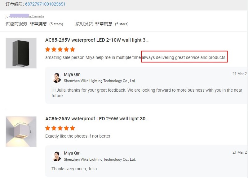 Customer Review 1