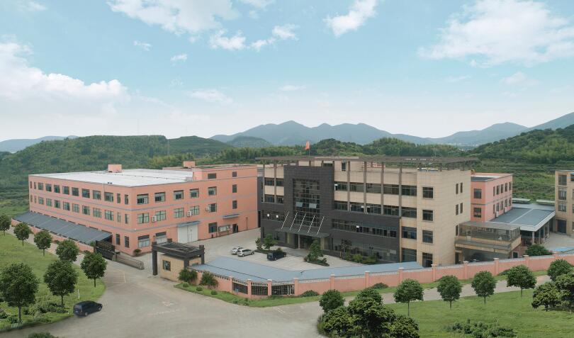 Company Profile