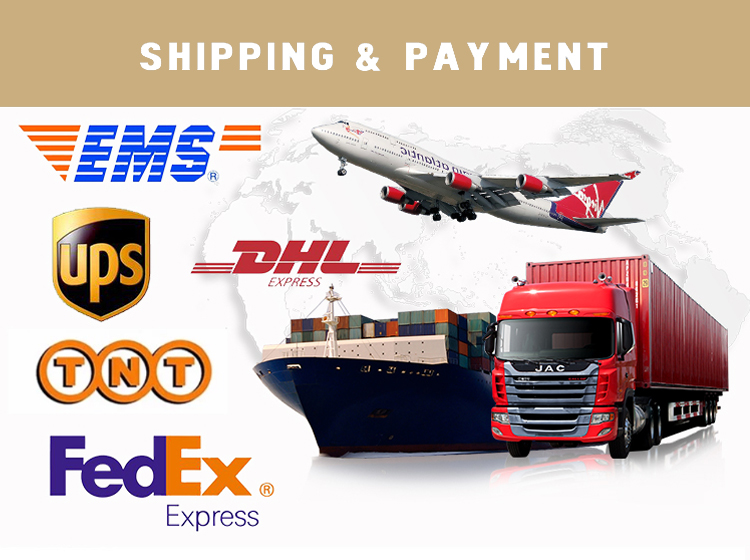 Logistics and Shipping details