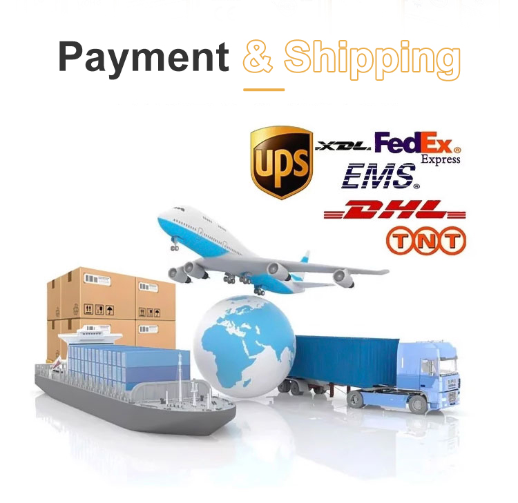Payment and Shipping Channels
