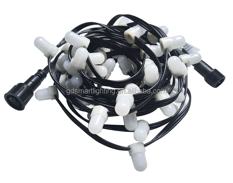 DC24V 0.25W RGBIC IP67 Milky White Outdoor 50pcs/string Led Christmas String Lights For Holiday Decoration