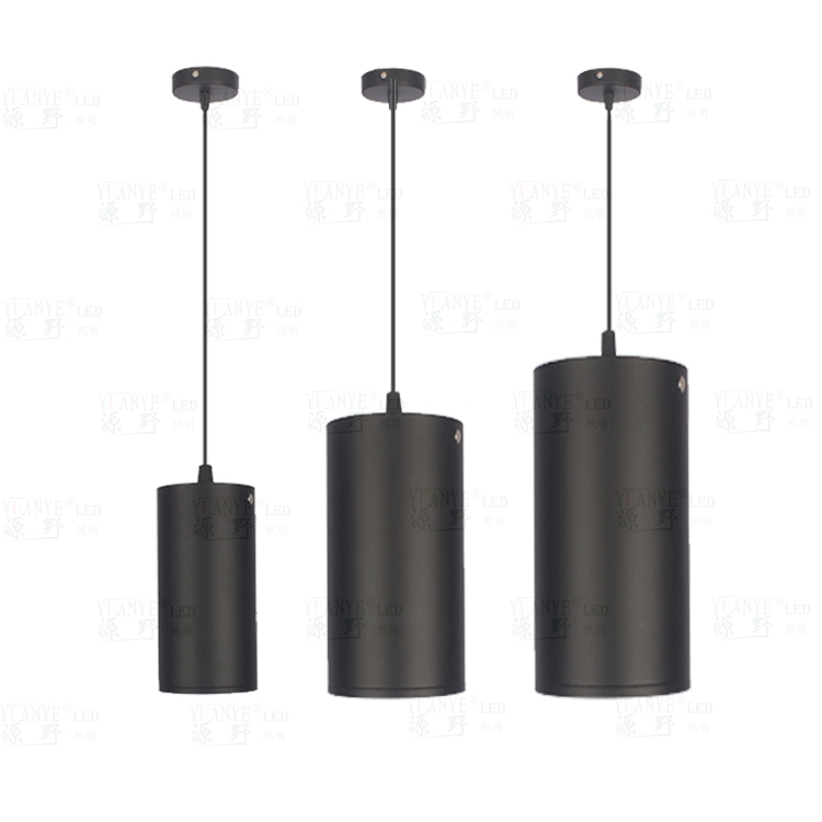Outdoor LED Pendant Light