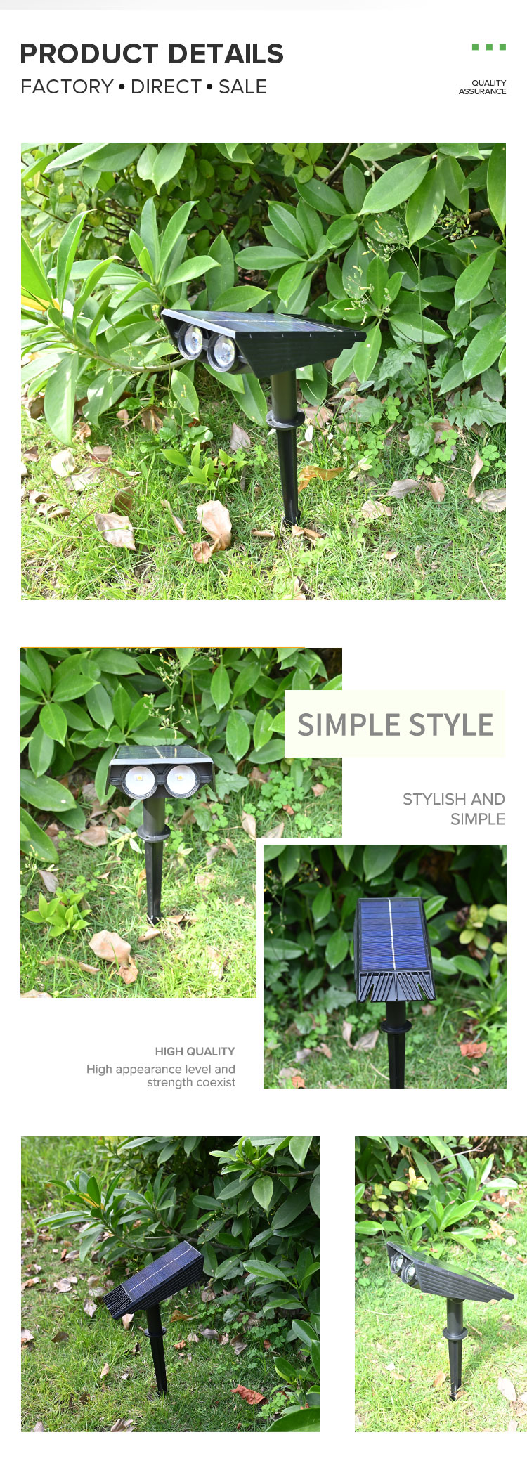 Landscape Light 2