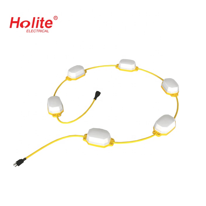 Festoon Light 5