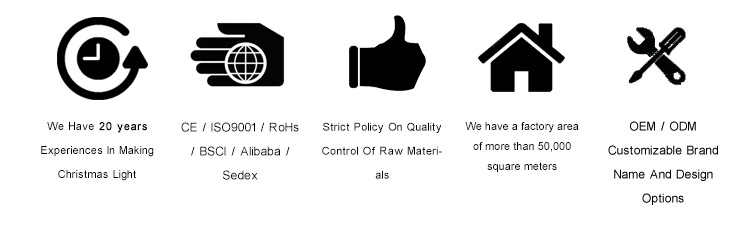 Factory Advantages