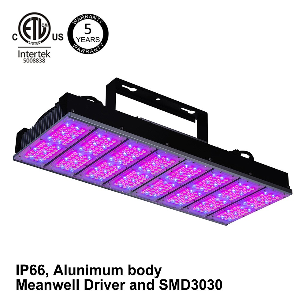 Related Product 5