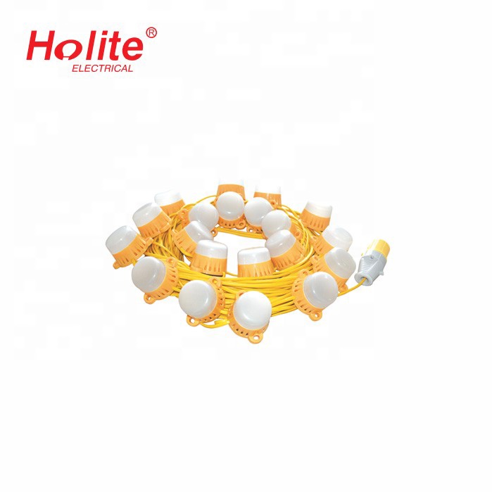 Festoon Light 4