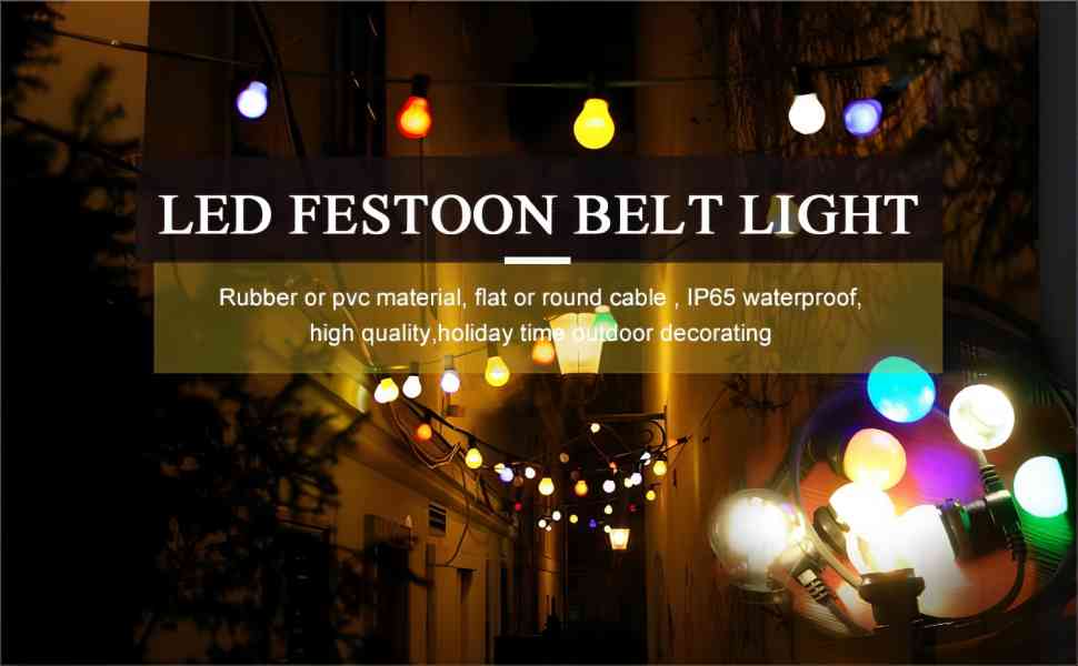 Led festoon light