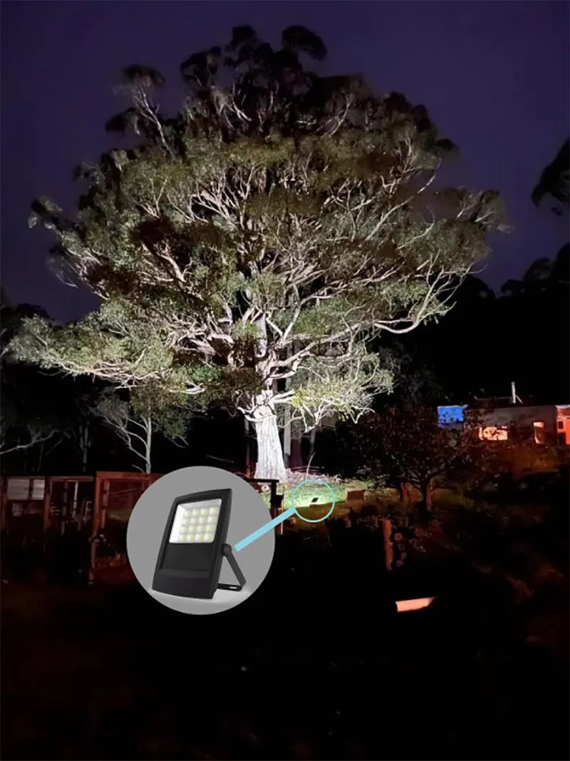 Best Outdoor Solar Floodlight for Garden Lighting and Security