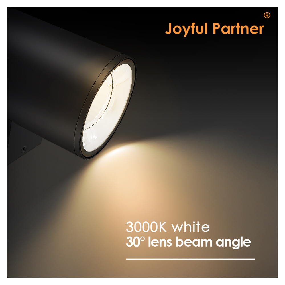 Durable Using Garden Yard Corridor Background Wall Lighting up and Down Hotel Indoor Outdoor LED Wall Lamp Light Outside Lights