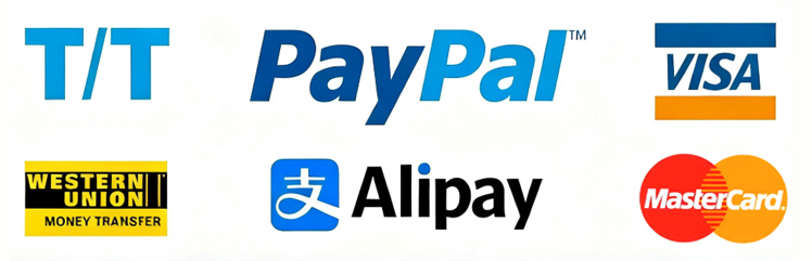 Payment Channels