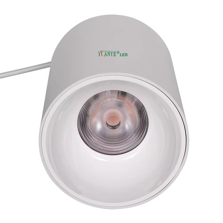 3w to 150w Ceiling Dmx512 RDM Dimming Suspended Mounted Decorative Fixtures Ip65 Outdoor Modern Led Pendant Light