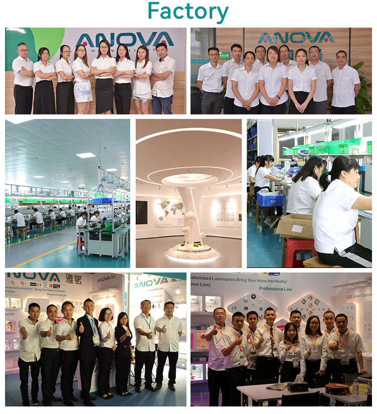 Manufacturing Facility