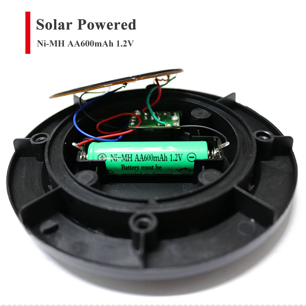 Solar Light Outdoor Durability Showcase