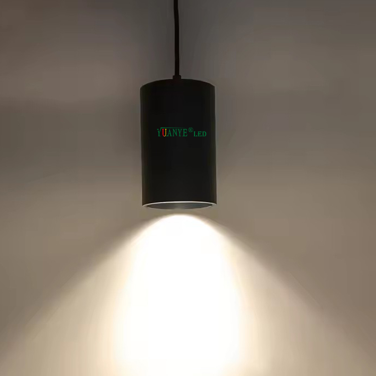 3w to 150w Ceiling Dmx512 RDM Dimming Suspended Mounted Decorative Fixtures Ip65 Outdoor Modern Led Pendant Light
