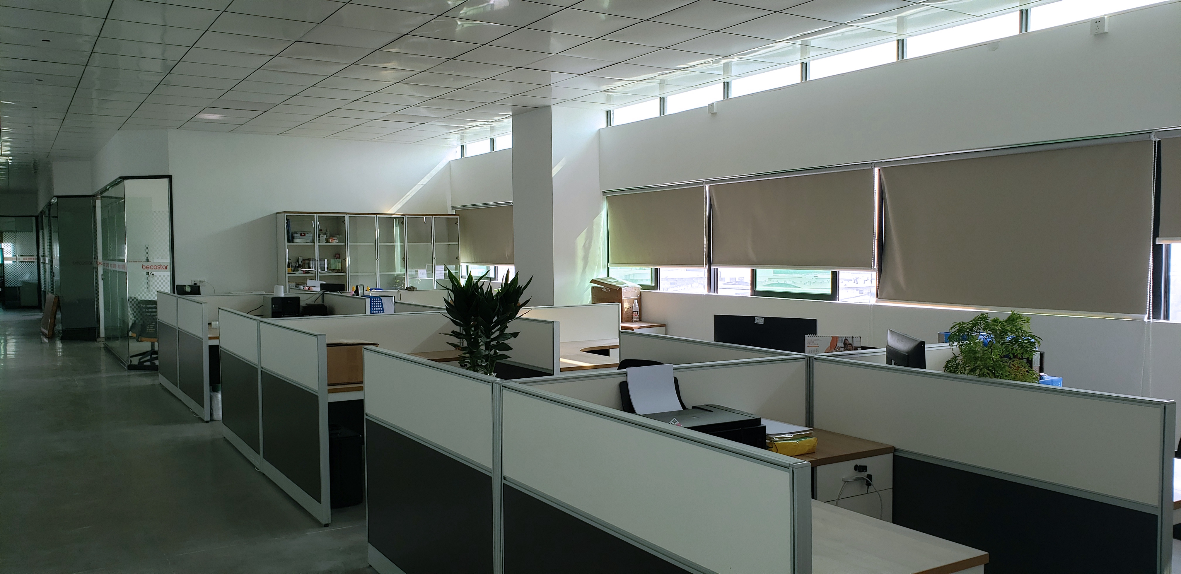 Company Advantage